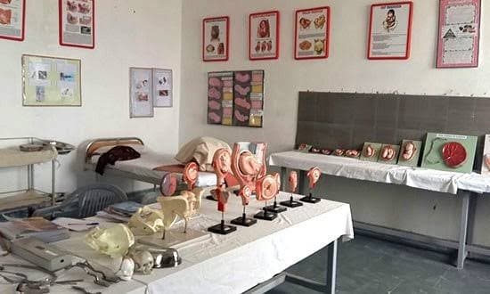 Anatomy Learning Models